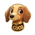 نشان coco