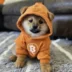 نشان Dog (Bitcoin)