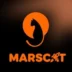 نشان MCAT
