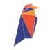نشان RVN
