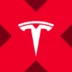 نشان Tesla xStock