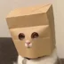 نشان ZCAT